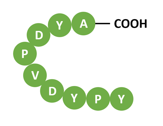 HA Tag Structure