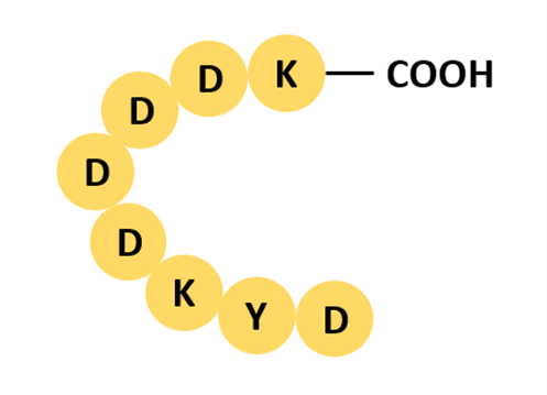 Flag Tag Structure