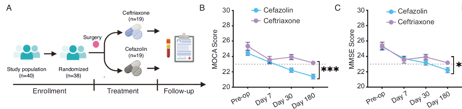 Ceftriaxone significantly reduces postoperative PNCD incidence in elderly patients, improving cognitive function.