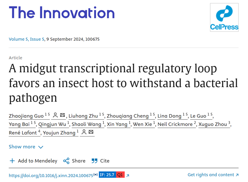 Guo, Zhaojiang et al. Innovation