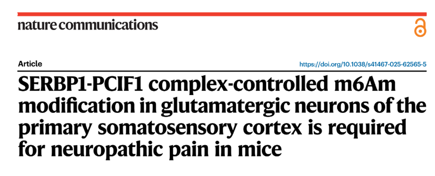 Huang, Yue et al. Nature communications (2025, Online ahead of print)