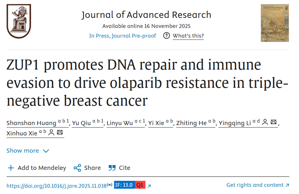 ZUP1 deubiquitinase promotes olaparib resistance in triple-negative breast cancer through PARP1 stabilization and cGAS-STING suppression