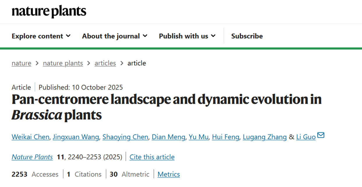 Pancentromere landscape and dynamic evolution in Brassica