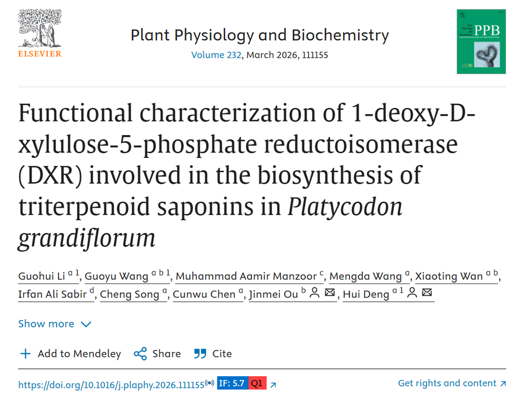 Functional characterization of DXR reductoisomerase in triterpenoid saponin biosynthesis of Platycodon grandiflorum