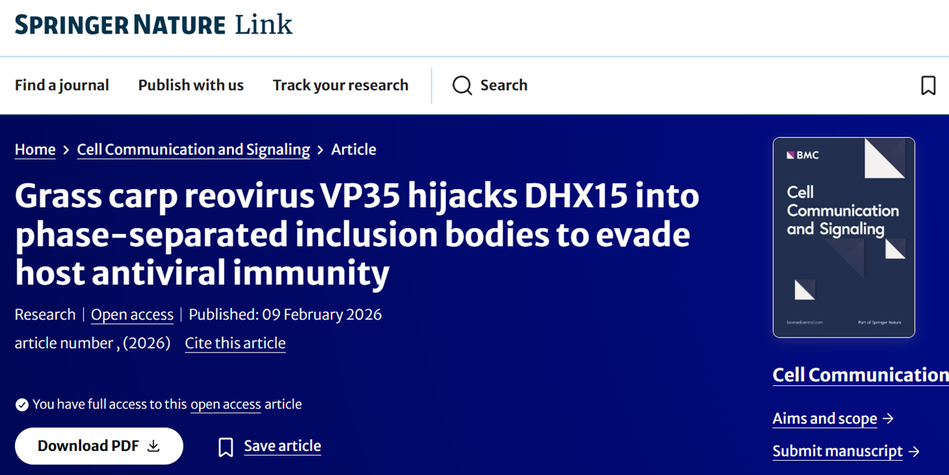 GCRV-II VP35 forms viral inclusion bodies through liquid-liquid phase separation and hijacks DHX15 to evade interferon signaling