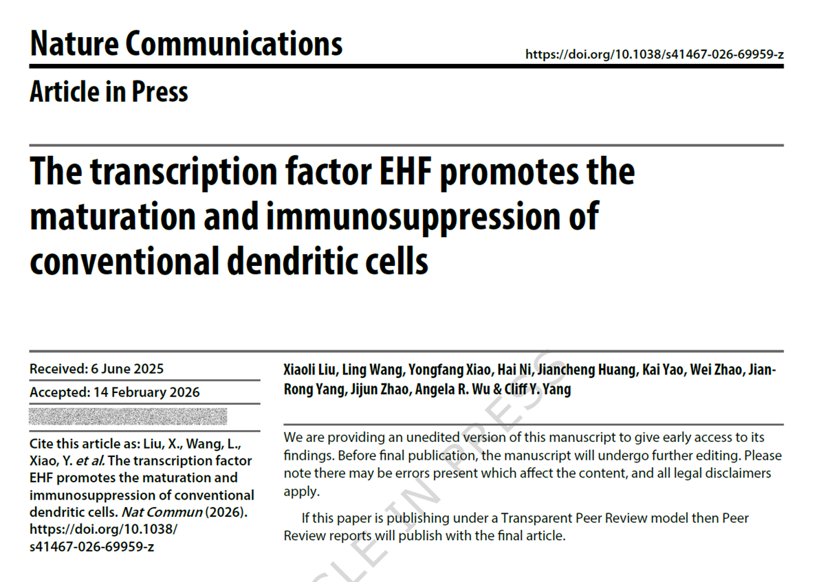The transcription factor EHF promotes the maturation and immunosuppression of conventional dendritic cells
