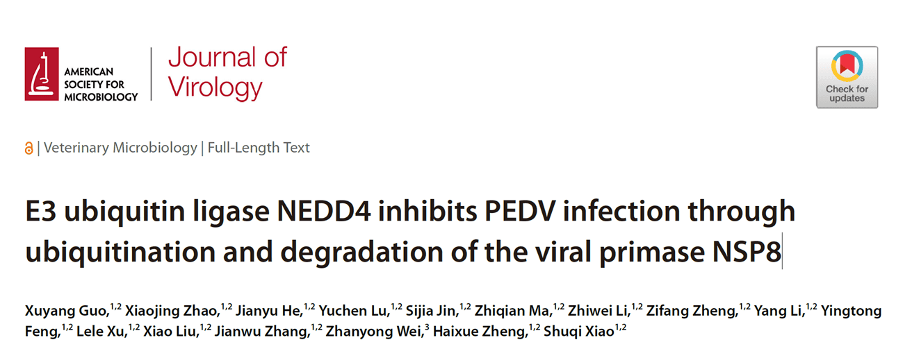 E3 ubiquitin ligase NEDD4 inhibits PEDV infection through ubiquitination and degradation of the viral primase NSP8