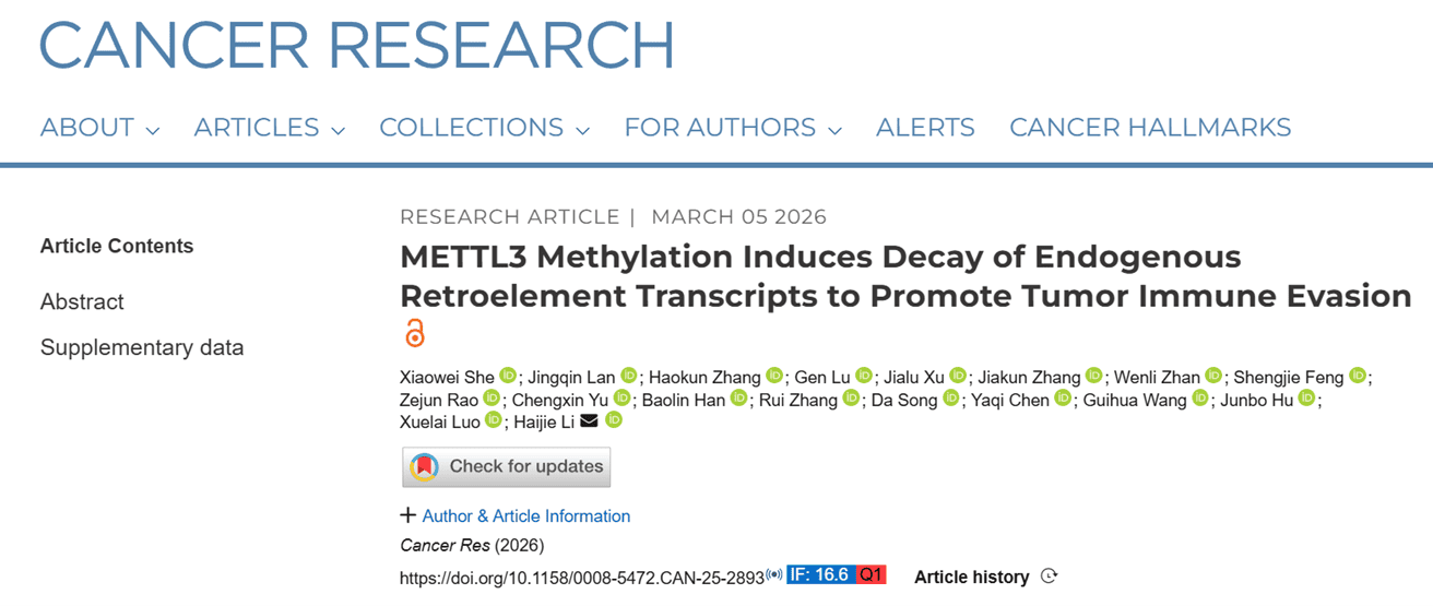 METTL3 Methylation Induces Decay of Endogenous Retroelement Transcripts to Promote Tumor Immune Evasion