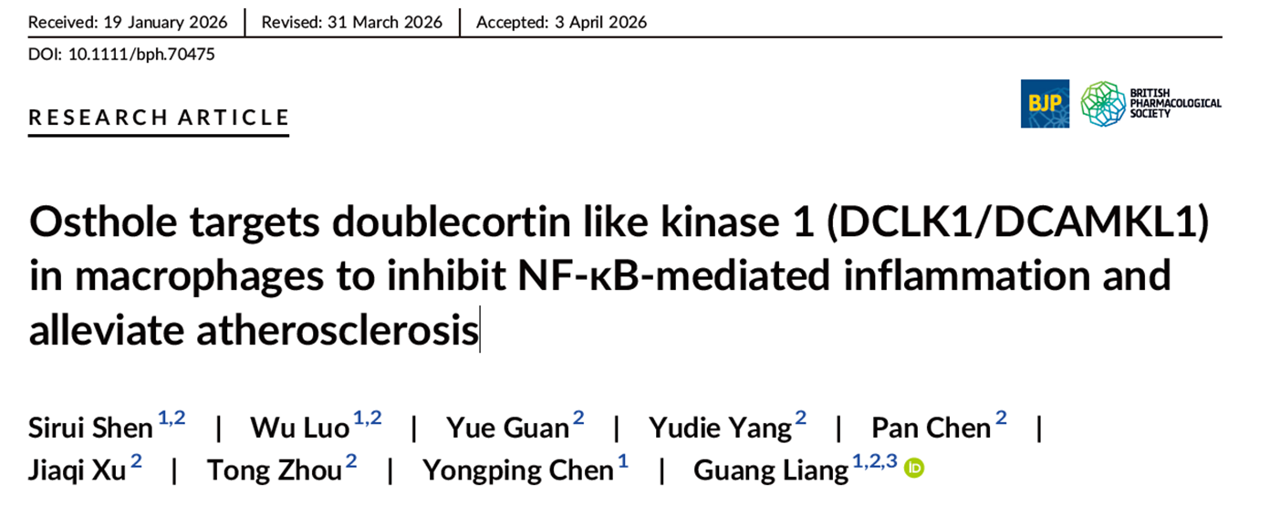 Osthole targets doublecortin like kinase 1 (DCLK1/DCAMKL1) in macrophages to inhibit NF-κB-mediated inflammation and alleviate atherosclerosis