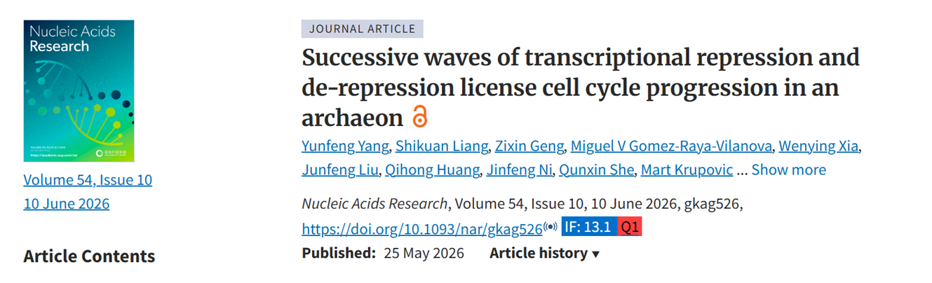 Successive waves of transcriptional repression and de-repression license cell cycle progression in an archaeon