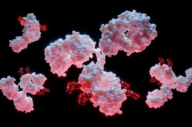 Phage Display